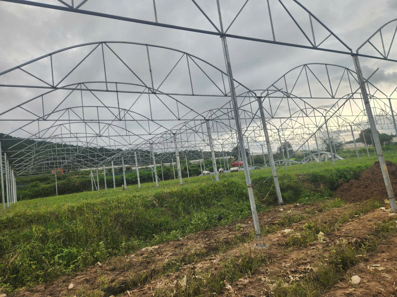 Khung nhà kính đang triển khai trên đất nông nghiệp